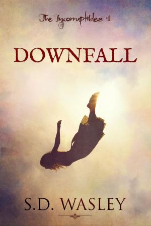 Cover of the book Downfall by Ava Ivy