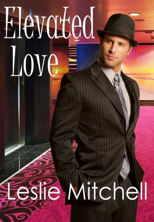 Cover of the book Elevated Love by Jess Edington