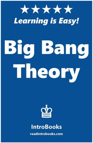 Cover of the book Big Bang Theory by IntroBooks