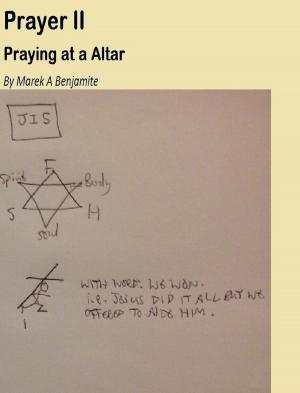 Cover of the book Prayer II: Praying At A Altar by Chris Park