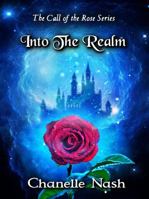 Cover of the book Into The Realm by Tom Willoughby