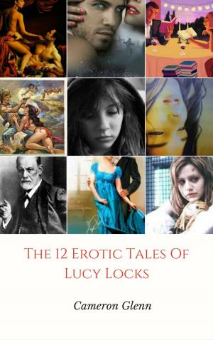 Book cover of The 12 Erotic Tales of Lucy Locks