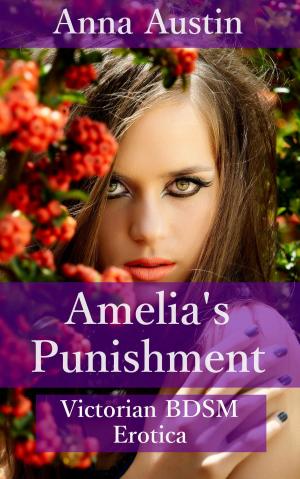 Cover of the book Amelia's Punishment by Suzie McLean