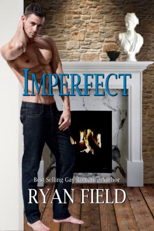 bigCover of the book Imperfect by 