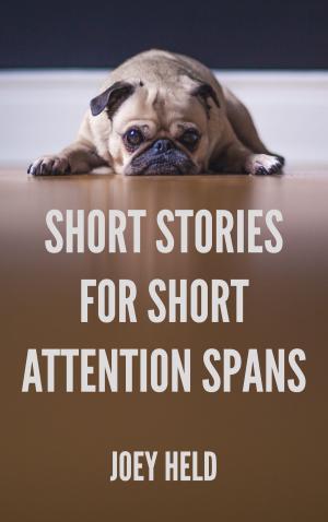 Cover of the book Short Stories for Short Attention Spans by 