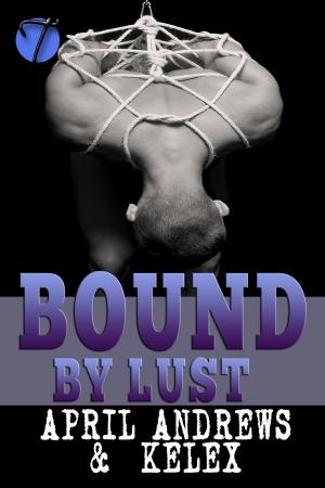 Cover of the book Bound by Lust by Aliyah Burke