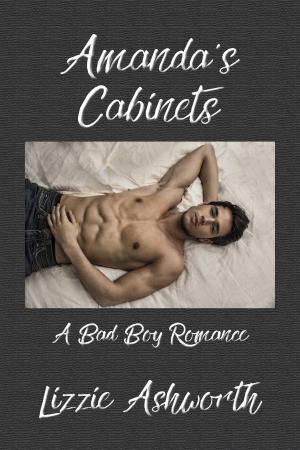 bigCover of the book Amanda's Cabinets by 