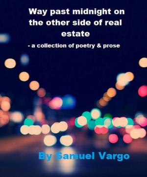 Cover of the book Way Past Midnight On The Other Side Of Real Estate by Marissa Steidl