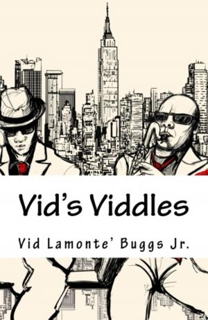 Cover of the book Vid's Viddles by Gavin Strange