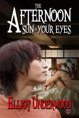 bigCover of the book The Afternoon Sun in Your Eyes by 