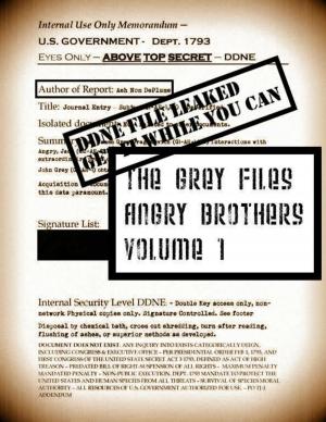 Book cover of Leaked The Grey Files: Angry Brothers V1. #483