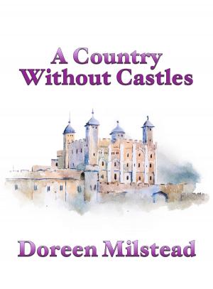 bigCover of the book A Country Without Castles by 