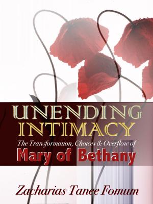 Book cover of Unending Intimacy: The Transformation, Choices And Overflow of Mary of Bethany