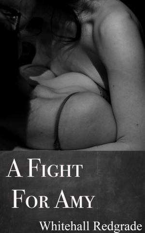 bigCover of the book A Fight for Amy by 