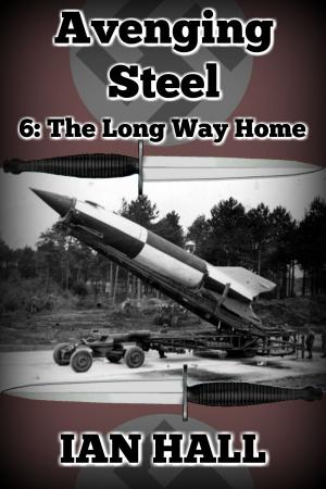 Cover of the book Avenging Steel 6: The Long Way Home by Dennis E. Smirl, Ian Hall