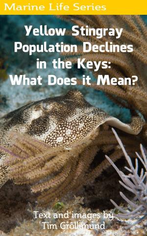 Cover of the book Yellow Stingray Population Declines in the Keys: What Does it Mean? by Tim Grollimund