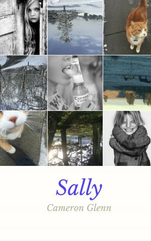 Book cover of Sally