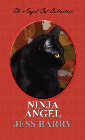Book cover of Ninja Angel