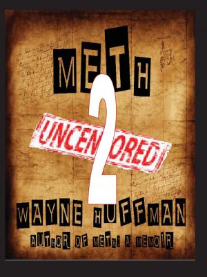 Cover of the book Meth Uncensored II by Tod Davies