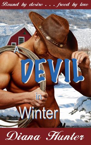 Book cover of A Devil in Winter