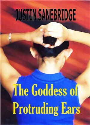Cover of the book The Goddess of Protruding Ears by Saint-Exupéry  Antoine