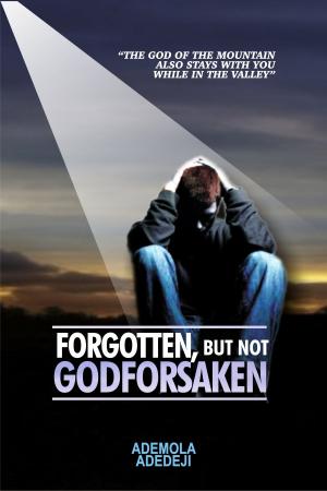 Cover of the book Forgotten, But Not Godforsaken by Dr. C. H. E. Sadaphal