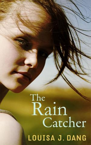 Book cover of The Rain Catcher