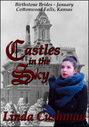 Cover of the book Castles in the Sky by Kerry Nietz