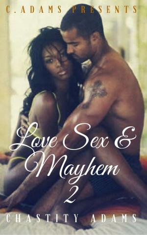 Book cover of Love Sex & Mayhem 2