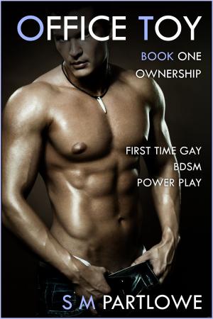 Cover of the book Office Toy - Ownership: First Time Gay BDSM Power Play (Series Book One) by S M Partlowe