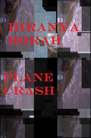 Book cover of Plane Crash