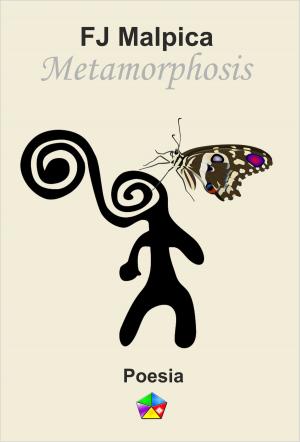 Cover of the book Metamorphosis by Оношко О. А.