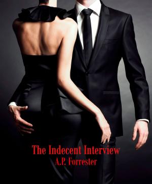 bigCover of the book The Indecent Interview by 