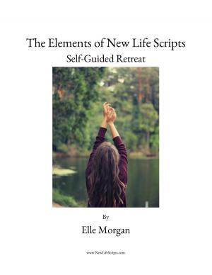 Cover of the book The Elements of New Life Scripts by Leonie R Schilling