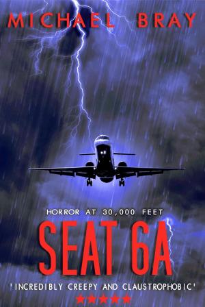Cover of Seat 6A