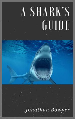 Cover of the book A Shark's Guide by Alan Samonte