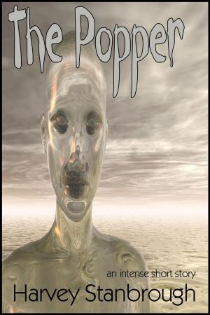 Cover of the book The Popper by Nate Walis