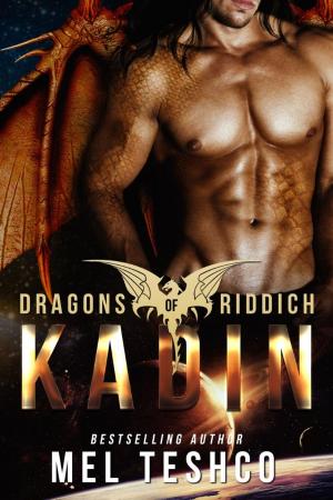 Cover of the book Kadin by Al Romero