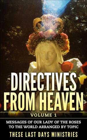 Book cover of Directives from Heaven - Volume 1