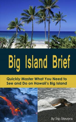 Cover of Big Island Brief : Quickly Master What You Need to See and Do on Hawaii's Big Island