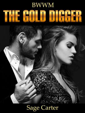 Cover of the book The Gold Digger: (Pregnancy Romance, BWWM) by Sofia King