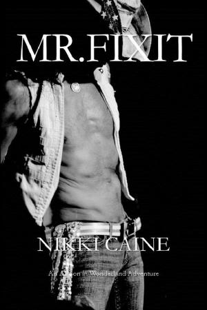 Book cover of Mr. Fix It!
