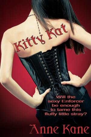 Book cover of Kitty Kat