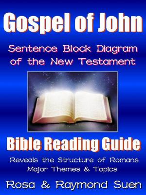 Book cover of Gospel of John - Sentence Block Diagram Method of the New Testament