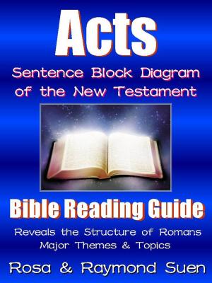 Cover of the book Acts   - Sentence Block Diagram Method of the New Testament by Dr. Brian Johnson