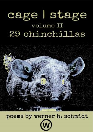 Cover of the book 29 Chinchillas by Jamie Bell
