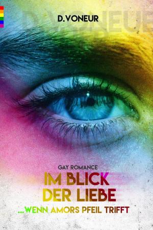 Cover of the book Im Blick der Liebe: Wenn Amors Pfeil trifft ( Gay Romance) by Dustin Voneur