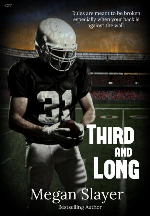 Cover of the book Third and Long by Megan Slayer