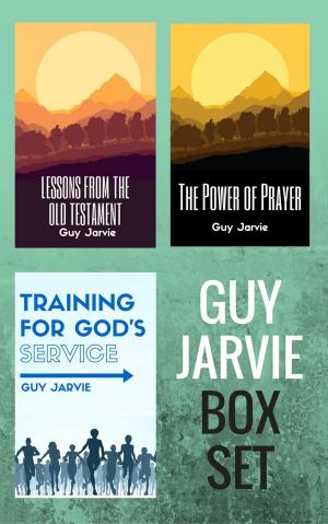 Cover of the book Guy Jarvie Box Set by Hayes Press