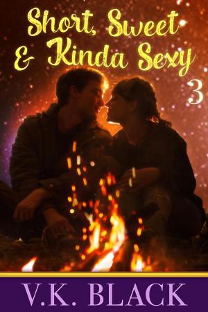 Book cover of Short, Sweet and Kinda Sexy #3: Campfire Tales